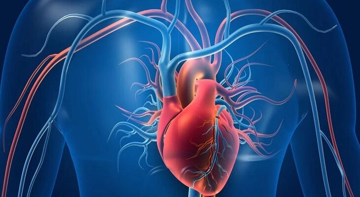 High Cholesterol Cause Heart Disease