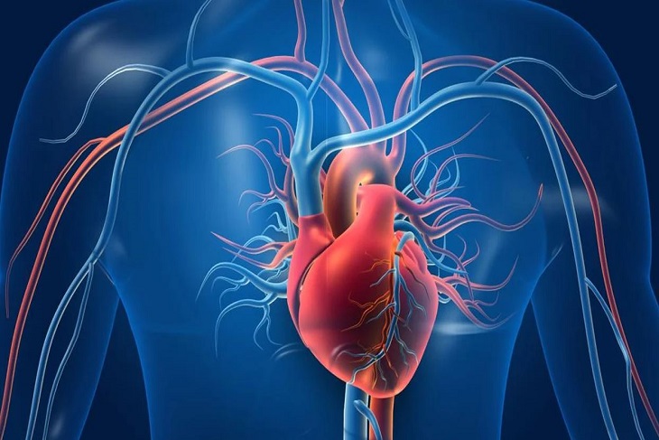 High Cholesterol Cause Heart Disease
